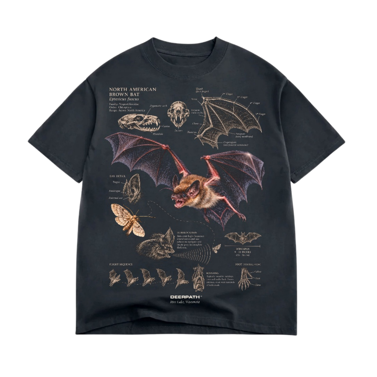 NORTH AMERICAN BROWN BAT TEE — VINTAGE BLACK