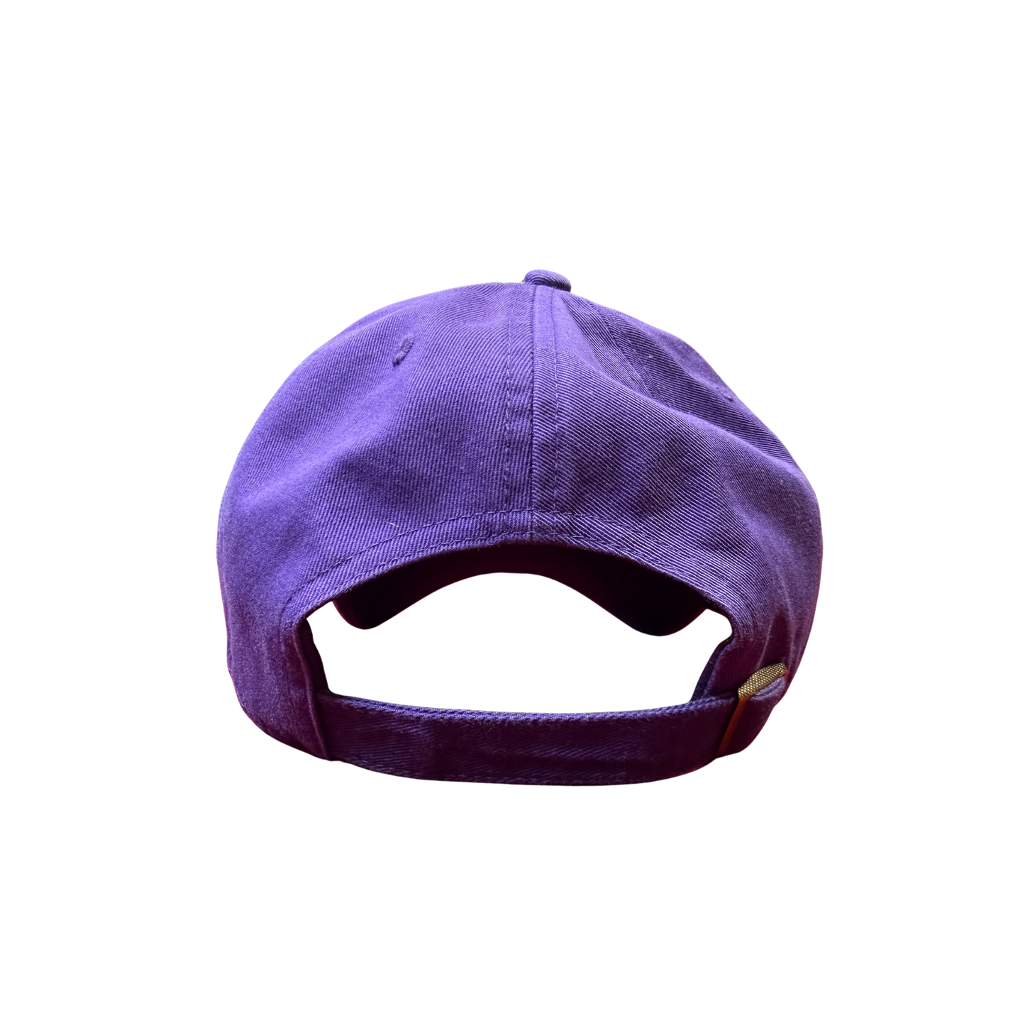 NORTHSTAR CAP — PURPLE PINES
