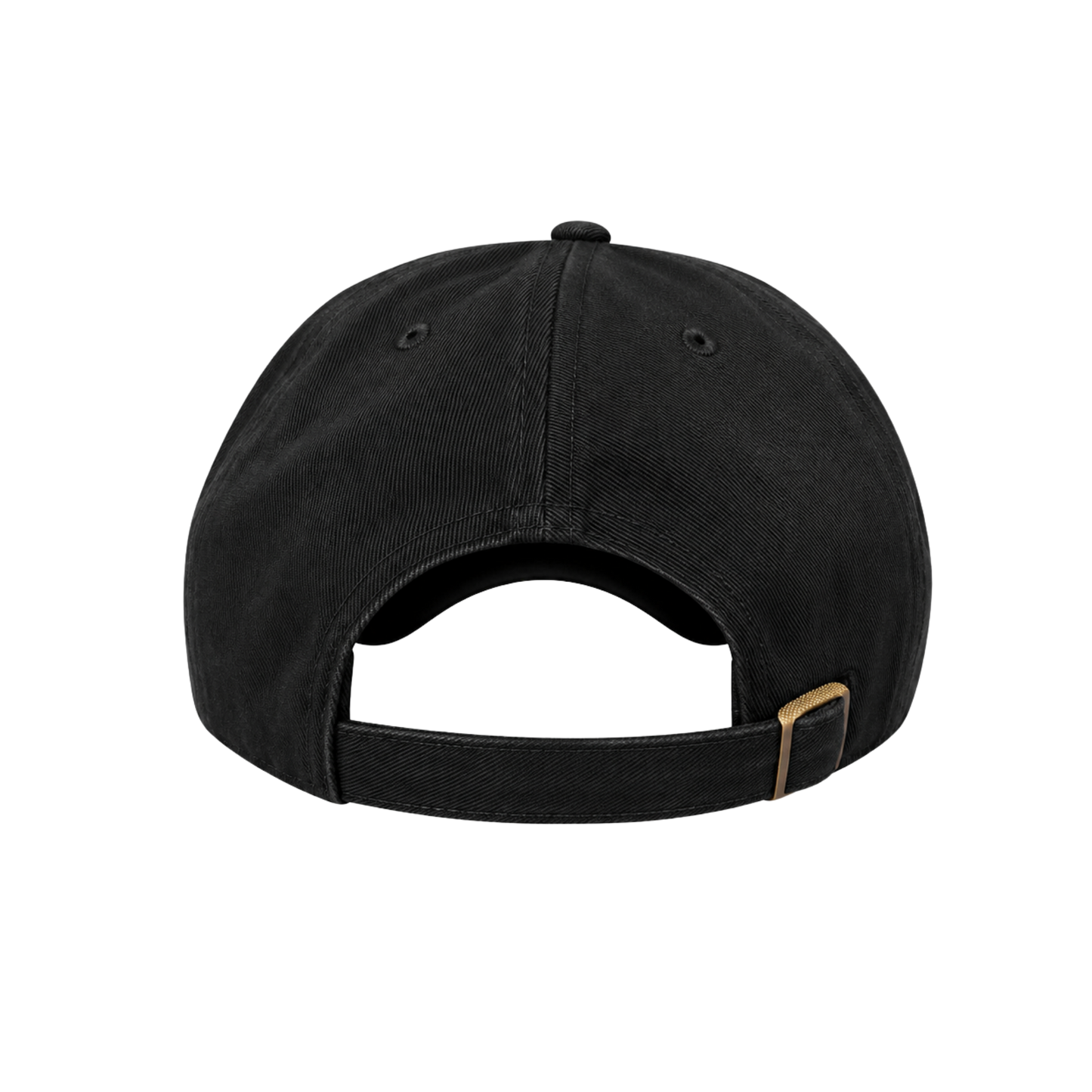 PANORAMIC ROUTE CAP — BLACK RIDGELINE