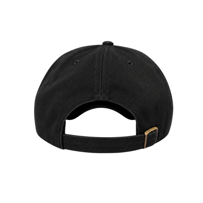 PANORAMIC ROUTE CAP — BLACK RIDGELINE