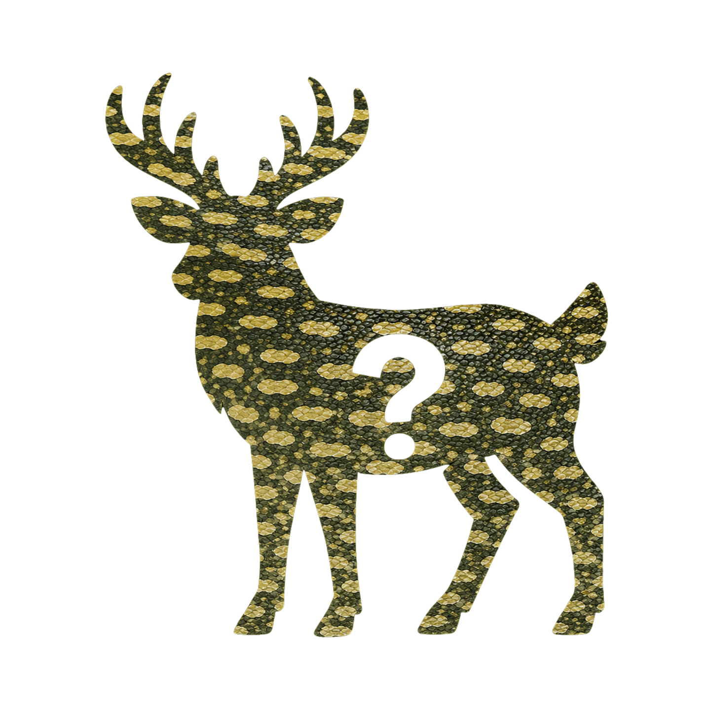 BACKWOODS MYSTERY TEE — JUNE