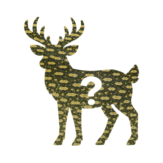 BACKWOODS MYSTERY TEE — JUNE